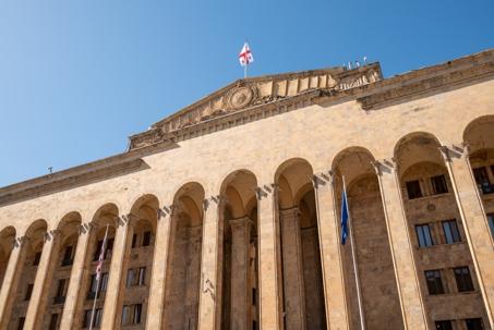 Georgia Parliment